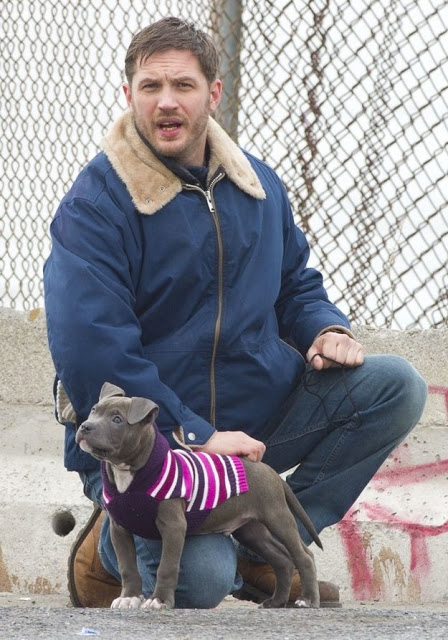 หนังใหม่เต็มเรื่อง