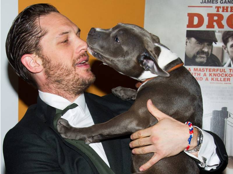 มุม คนรักหมา ของพี่ทอม ทอม ฮาร์ดี้ ชายวัย 43&nbsp;ปี